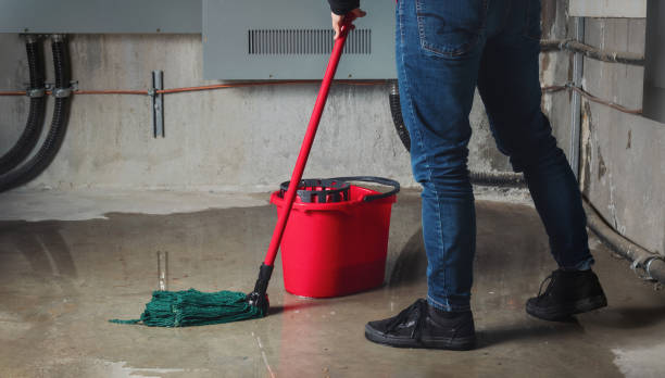 Best Water damage restoration near me  in Oakhurst, NJ