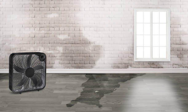 Water damage restoration mold remediation in Oakhurst, NJ