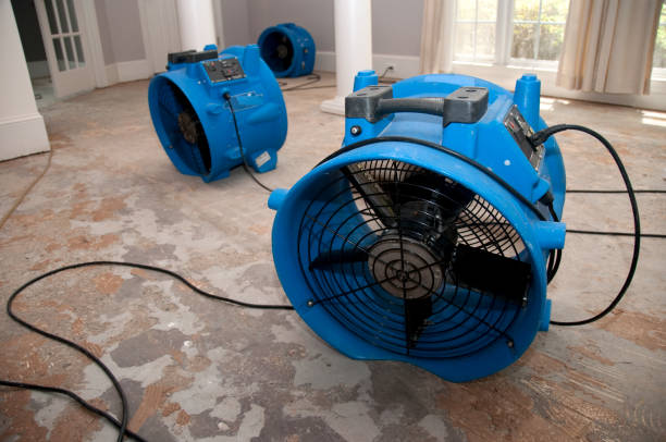 Best Flooded house restoration  in Oakhurst, NJ
