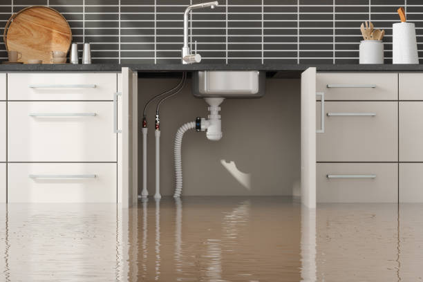 Best Water damage cleanup near me  in Oakhurst, NJ